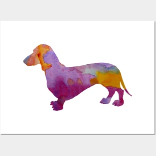 Dachshund Posters and Art